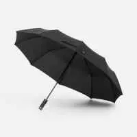 Зонт складной Regenfall